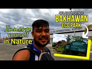 Philippines' most successful mangrove reforestation project!