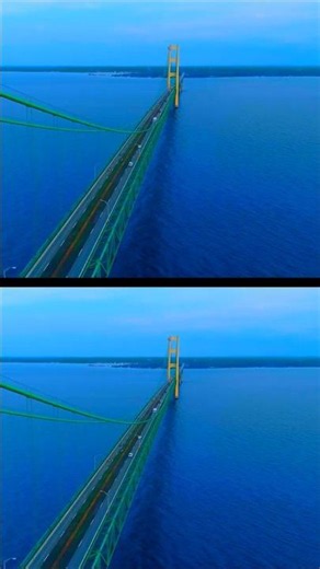This Bridge is SO BIG ChaCha & Zee Can't Believe Their Eyes 🌉 #shorts