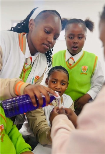 Grade 8 Natural Sciences Overview