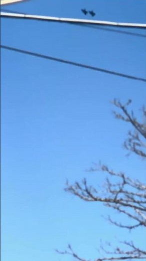 U.S. Army Air Force: Powerful Fighter Jets in Action! #USArmyAirForce