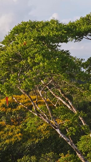 2.3K views · 51 reactions | “When I raise the binoculars to my eyes,...