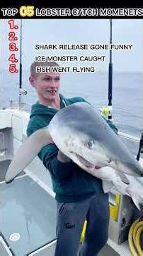 Ranking The Top 5 Crazy Fishing #fishing
