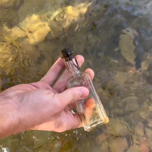 Discovering A Treasure Loaded Creek! 🤑 | Adventure Archaeology And Southern Diggers