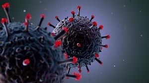 Download Animation of The Coronavirus for free