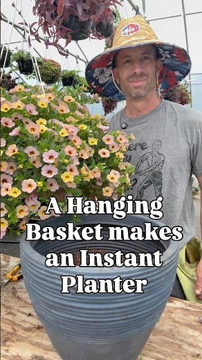 An easy and quick solution to filling an empty planter. 🙏 #containergardening