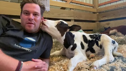 114K views · 10K reactions | All of us at Barn Sanctuary are humbled...