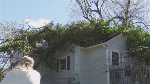 Graham family cleaning up after tree falls on home: 'Lucky to be alive'