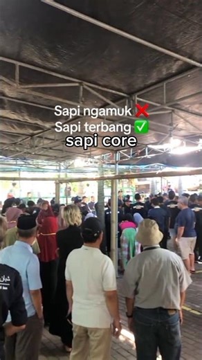 bagian 45 : sapi Core 🤣🤣 ngakak berutal #sapi#funny #mentality #viralvideo #shorts #viralshorts