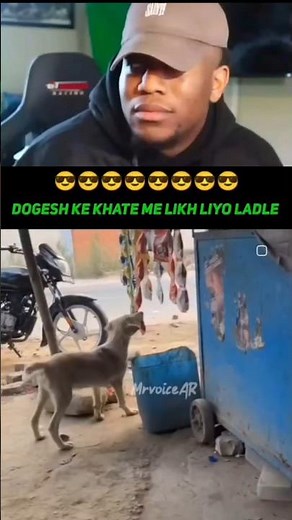 FUNNY Dog Videos That Will Make You LAUGH!