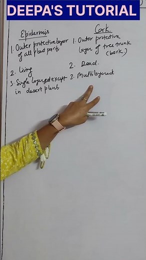 Cork and epidermis। Protective plant tissue। Tissue class 9 science