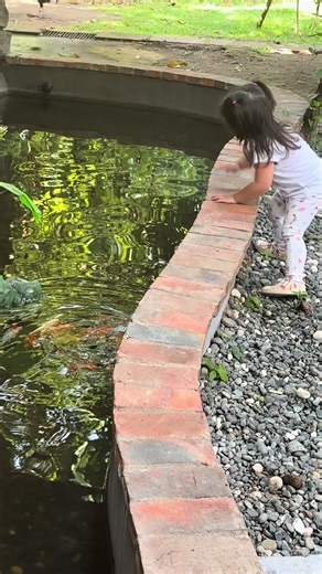 Training the fishes by bechang