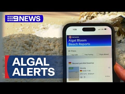 SA Government's smartphone app plan to tackle algal bloom crisis | 9 News Australia