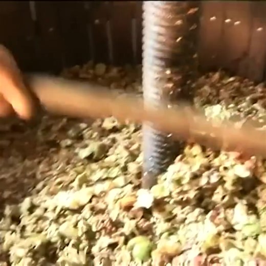 130K views · 2.2K reactions | The family tradition continues: artisanal beverage | Eugenio Monesma Documentaries | Facebook