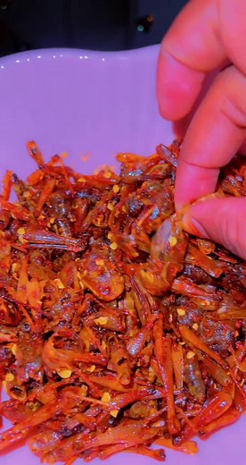 Cooking Guide for Delicious Shrimp Dishes