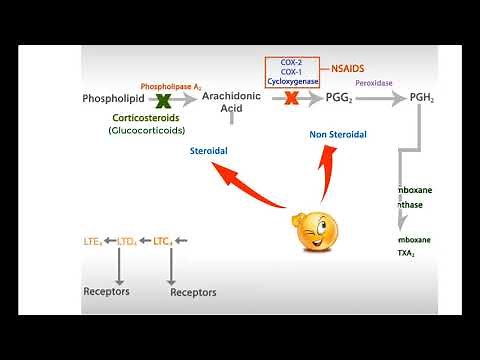 Ant-inflammatory drugs. Steroids , NSAIDs and leukotrienes inhibitors