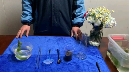 高二生物：生态瓶制作