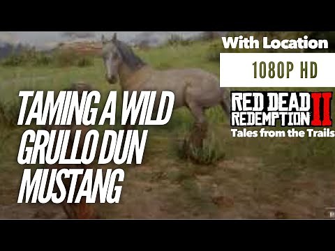 Red Dead Redemption 2: Wild Grullo Dun Mustang | Location | 1080p HD PS4 Pro | RDR2