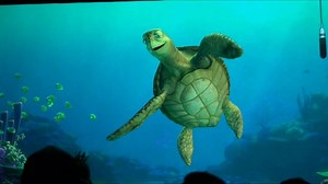 10K views · 209 reactions | Turtle Talk with Crush - Disney California Adventure Park 2018 Kiddos can sit at the front and might get chosen to ask Crush a question . https://disneyland.disney.go.com/attractions/disney-california-adventure/turtle-talk-with-crush/ | DisneyFamilyMadness | Facebook