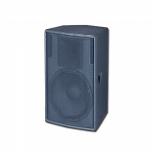 [Hot Item] 12 Inch Sound System Speakers with 300W Rated Power