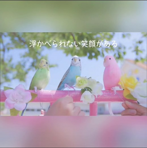 wacci『大丈夫』 MVはYouTubeにてフル公開中！#大丈夫 #wacci #MV #武道館ライブ #武道館