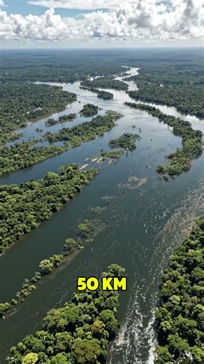 Why are there ZERO bridges across the entire Amazon River? 🤯🌎