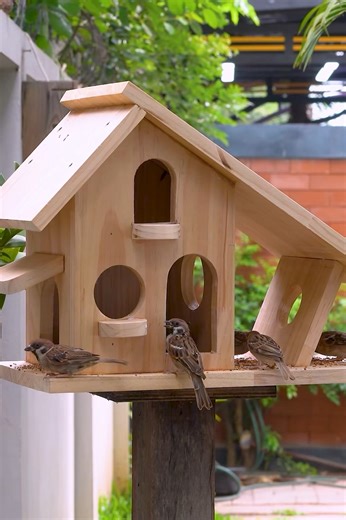 6.8K views · 54 reactions | DIY Adorable Bird Feeder | Smart DIYs & Crafts | Facebook