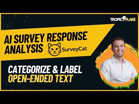 Survey Cat Demo: AI-Powered Survey Response Categorization