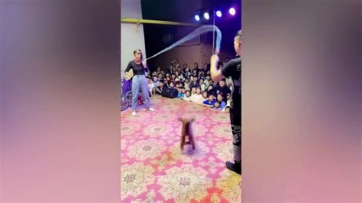 Animals Getting Scared Over Nothing  [Funny Pets] _ Pets Island