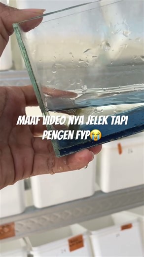 #naruto #sasuke #boruto #anime #mlbb #ikan #aquarium #fishcupang