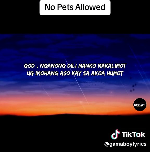 Karung Naa Ka - No Pets Allowed (Lyrics)