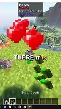 HOW TO FIND THE PIGEON IN MINECRAFT FOWL PLAY