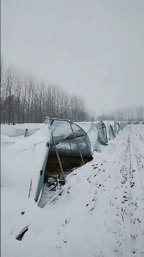 Snow-covered plastic-sheet structures in an outdoor field