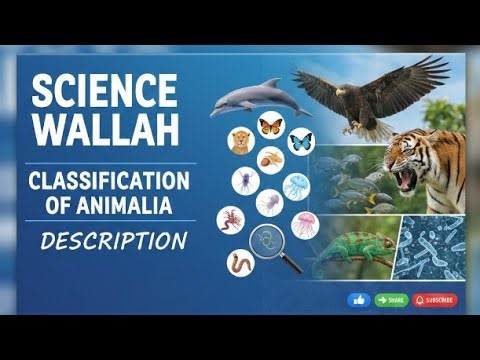 Classification of the Animalia#education #science #biology @sciencewallah2026 