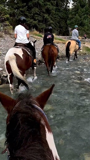 When Your Banff Horse Ride Takes You Through a River
