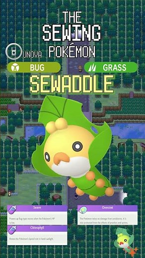 Sewaddle → Swadloon → Leavanny