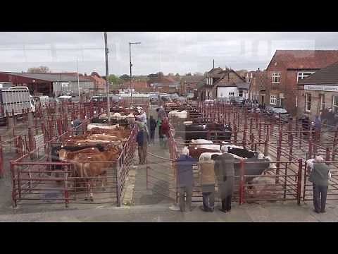 Malton Livestock Market - 4th May 2018