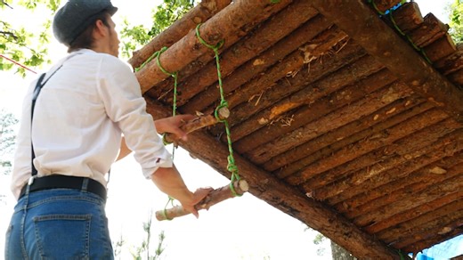 Soaring Canopies: The Ultimate Treehouse Adventure!