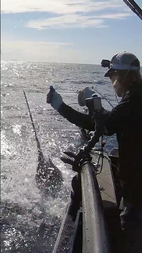 Swordfish chaos with Matt Watson and ‪@BlacktipH‬ #ultimatefishing #swordfish