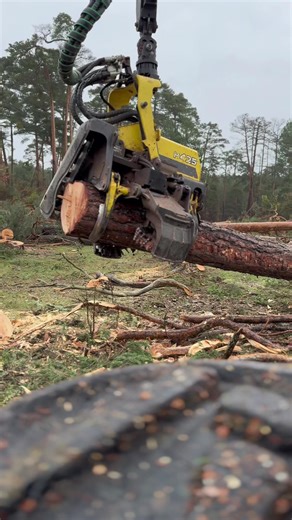 Harvester 1270g in Action - Timber Team HDPM