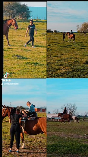 4.7K views · 189 reactions | Tarde de las que nos gustan! @vaneblanc ❤️ #campo #rural #caballos | Mauro Besson | Facebook