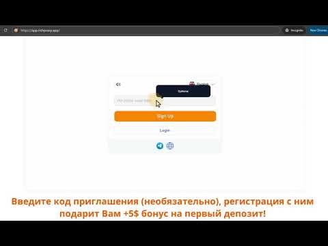 Инструкция по работе с Rich Proxy на русском декабрь 2025