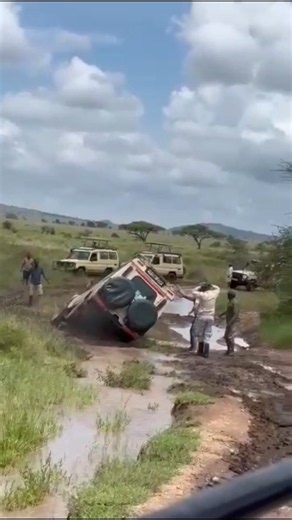 What The Safari Cameras Wont Show You |BTS
