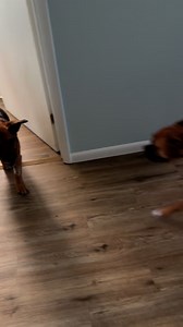 12K views · 269 reactions | Alfred: 100 years old. Gets along with...