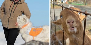 25 Photos Of Animals Being Derps To Cheer You Up