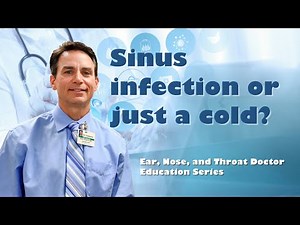 Sinus Infection or Just a Cold? How to tell the difference