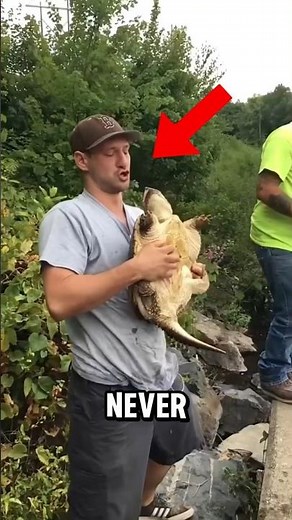 Never Pick Up a Snapping Turtle Like This 😳
