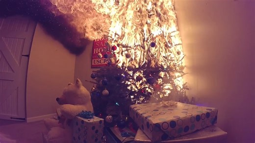 Water your Christmas tree this holiday season. | U.S. Consumer Product Safety Commission
