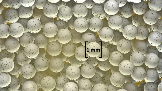 Forever chemicals: How to decontaminate water