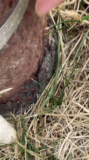 Well Casings Rust Right Here