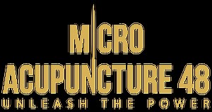 Micro Acupuncture 48 certification: Unleash the Power